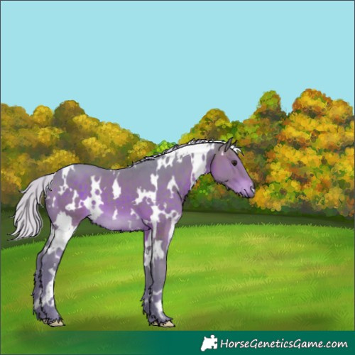 Horse Color:Watercolor White Spotted Silver Brown 