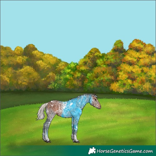 Horse Color:White Spotted Silver Brown Ice Tobiano 