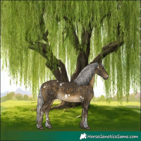 Horse Color:White Spotted Silver Buckskin Sabino