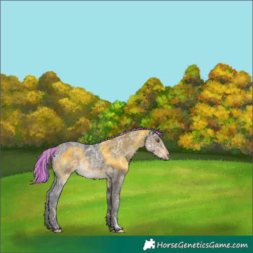 Horse Color:Painted Silver Buckskin Ice Rabicano 