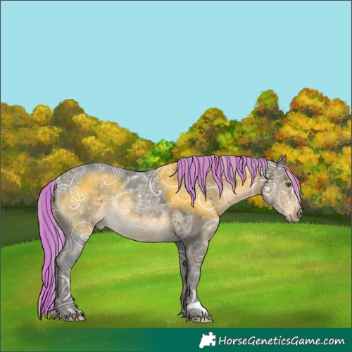 Horse Color:Painted Silver Buckskin Ice Rabicano 