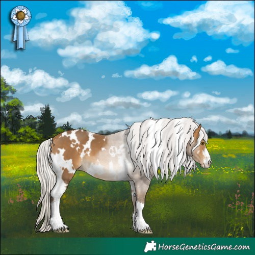Horse Color:White Spotted Silver Buckskin Sabino 