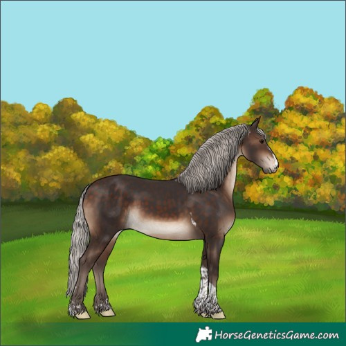 Horse Color:Silver Brown Sabino Tobiano 