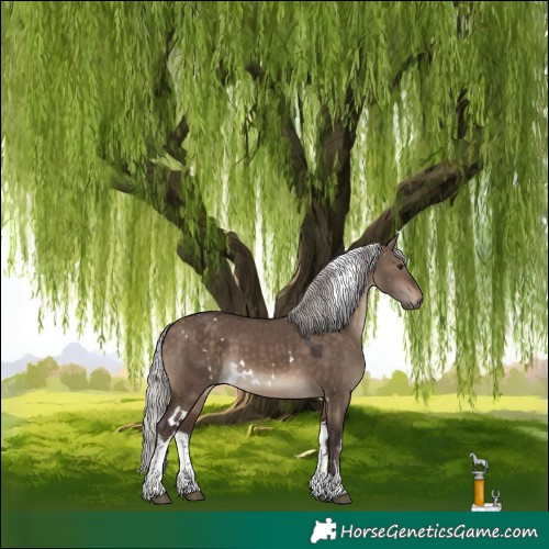Horse Color:White Spotted Silver Brown Dun 