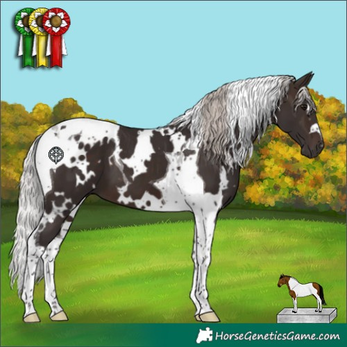Horse Color:White Spotted Silver Brown Tobiano