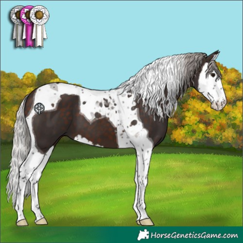 Horse Color:Silver Brown Splash Tobiano 