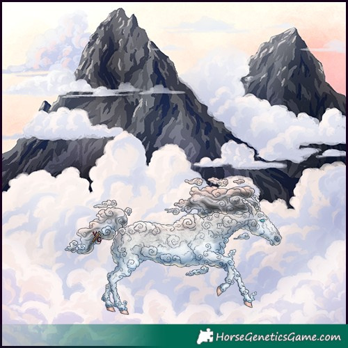 Horse Color:Blue Roan Splash Rabicano 