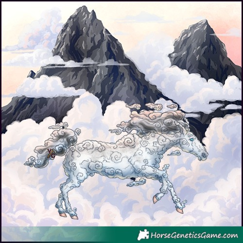 Horse Color:Blue Roan Splash 