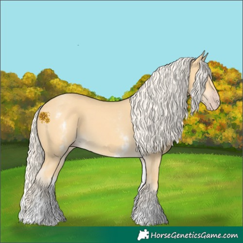 Horse Color:White Spotted Gold Cream Champagne 