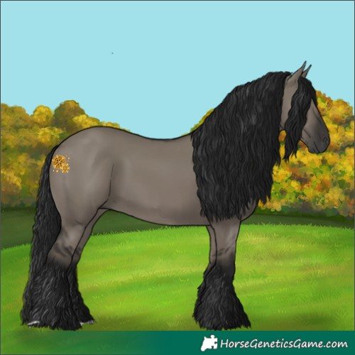 Horse Color:Gray Grullo 