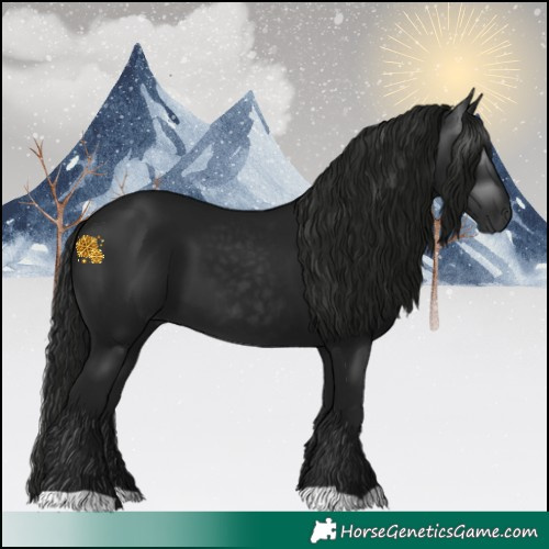 Horse Color:Gray Black 