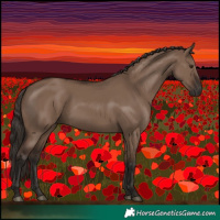 Horse Color:Liver Red Dun Rabicano 