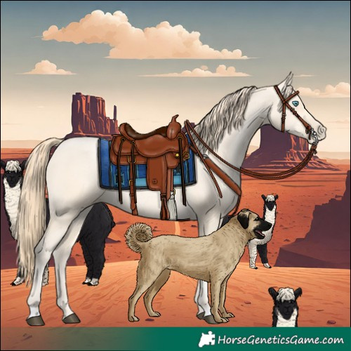 Horse Color:Buckskin Pearl 
