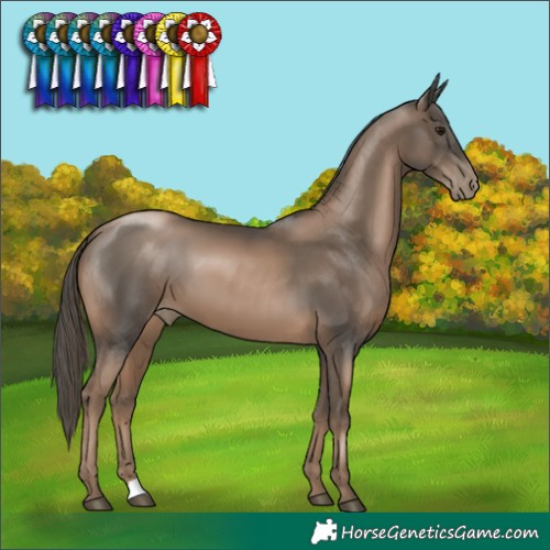 Horse Color:Black Pearl 