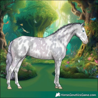 Horse Color:Watercolor Perlino Splash Appaloosa