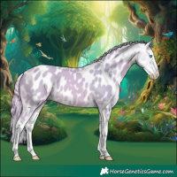 Horse Color:Watercolor Perlino Splash Appaloosa