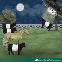 Horse Color:Watercolor Palomino 