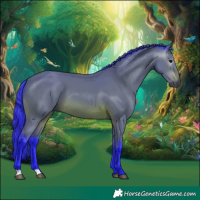 Horse Color:Gray Watercolor Bay 