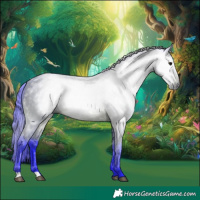 Horse Color:Gray Watercolor Bay 