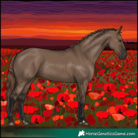 Horse Color:Liver Red Dun Rabicano 