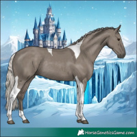 Horse Color:Silver Grullo Tobiano Rabicano