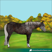 Horse Color:Silver Brown Ice 
