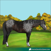 Horse Color:Brown Ice 