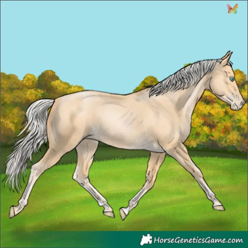 Horse Color:Silver Buckskin Pearl 