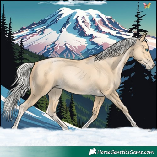 Horse Color:Silver Buckskin Pearl 
