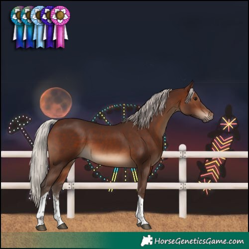 Horse Color:Silver Brown Sabino Tobiano 