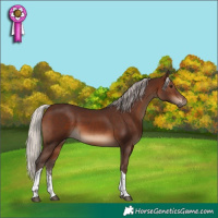 Horse Color:Silver Brown Sabino Tobiano