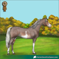 Horse Color:Silver Brown Sabino Tobiano Frame Varnish