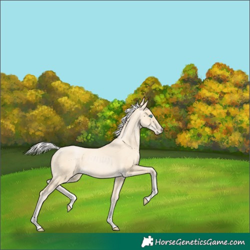 Horse Color:Silver Buckskin Pearl 