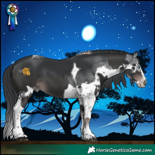 Horse Color:Platinum Liver Chestnut Splash Tobiano Varnish and Black Chinchilla Splash Tobiano