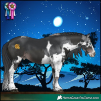 Horse Color:Platinum Liver Chestnut Splash Tobiano Varnish  and Black Chinchilla Splash Tobiano 