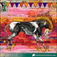 Horse Color:Black Tobiano