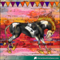 Horse Color:Black Tobiano 