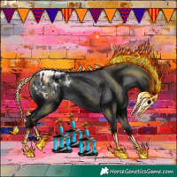 Horse Color:Black Appaloosa 