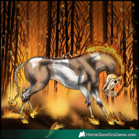 Horse Color:Amber Champagne Tobiano 