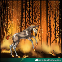 Horse Color:Sable Champagne Tobiano 