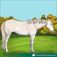 Horse Color:Perlino Sabino 