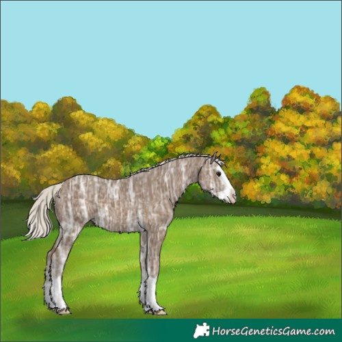 Horse Color:Silver Smoky Black Ice Splash Varnish