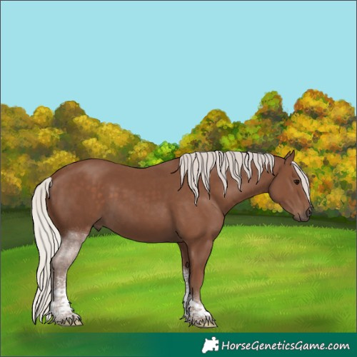 Horse Color:Silver Black Sabino Tobiano 