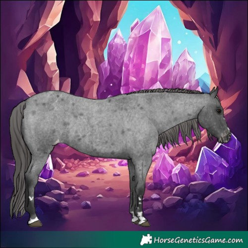 Horse Color:Blue Roan Varnish Rabicano 