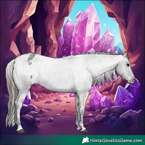 Horse Color:Blue Roan Appaloosa Rabicano 
