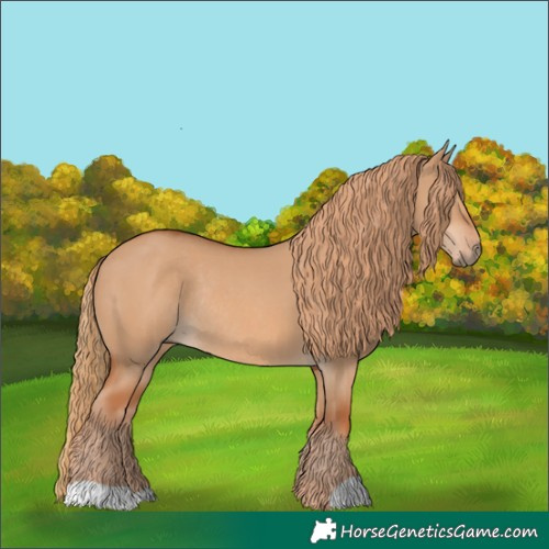 Horse Color:Red Dun Rabicano 