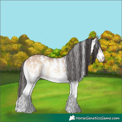Horse Color:Bay Onyx Sabino Rabicano 