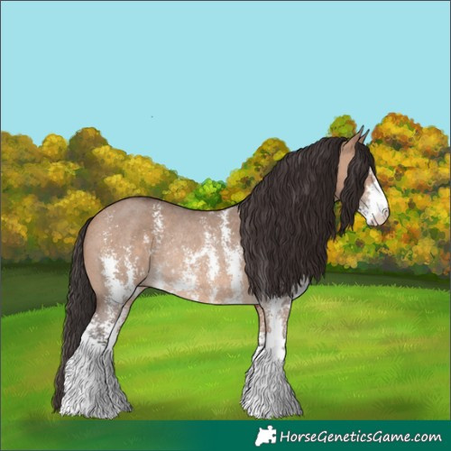 Horse Color:Bay Dun Sabino Rabicano 