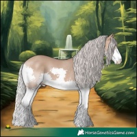 Horse Color:Silver Bay Dun Splash