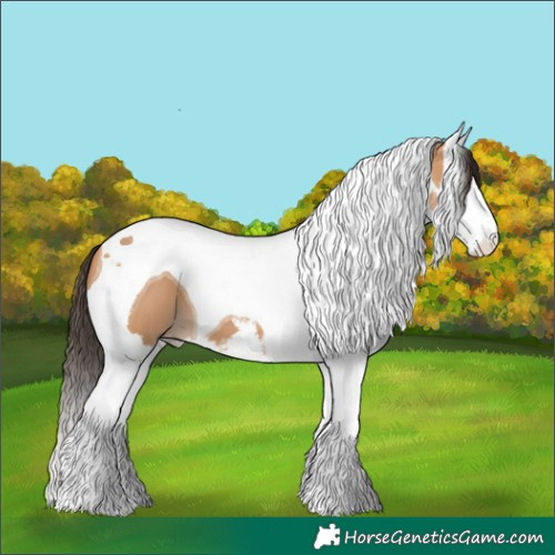 Horse Color:White Spotted Bay Dun Splash Tobiano 